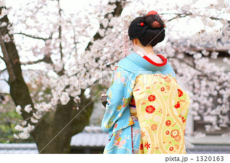 後姿 後ろ姿 うしろ姿 芸者 舞妓 京都 1人 人物 芸妓の写真素材