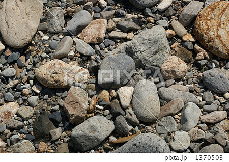 石 石原 川原 小石の写真素材