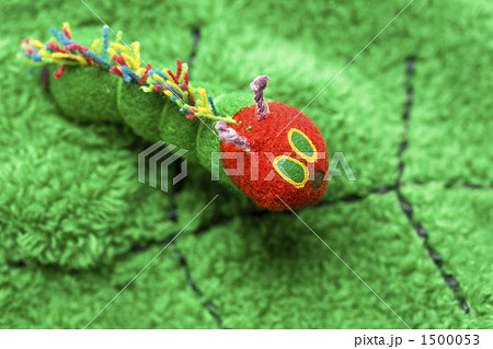 ぬいぐるみ 毛虫 芋虫 緑色の写真素材