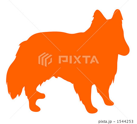 シェルティのイラスト素材