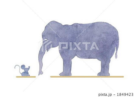 大きさ比べ 動物 ゾウ イラストの写真素材