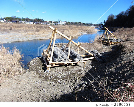 治水工事 聖牛 せいぎゅう 伝統工法の写真素材