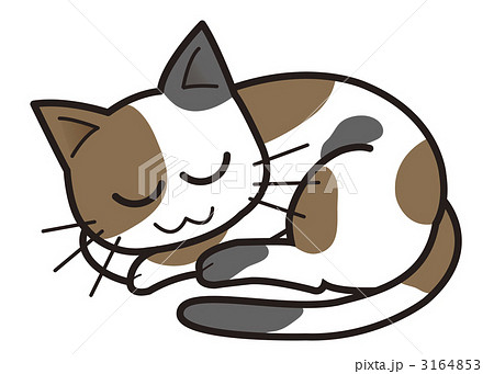 三毛猫 猫 イラスト 眠るの写真素材