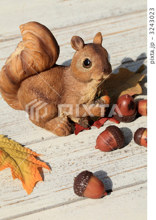 リス どんぐり りす 木の実 かわいい 動物 置物 秋 ミニチュアの写真素材