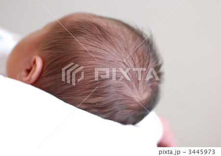 頭 新生児 赤ちゃん 後頭部の写真素材