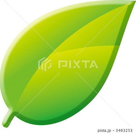 葉 一枚 ワンポイント １枚のイラスト素材
