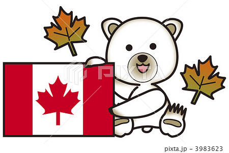 白熊とカナダ国旗とサトウカエデ メイプルリーフ のイラスト素材