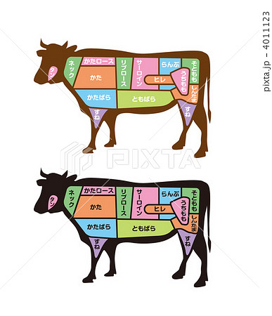 牛 牛肉 部位 図解のイラスト素材