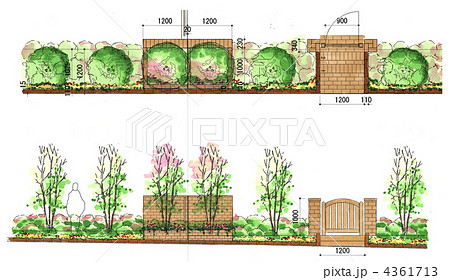 平面植栽のイラスト素材