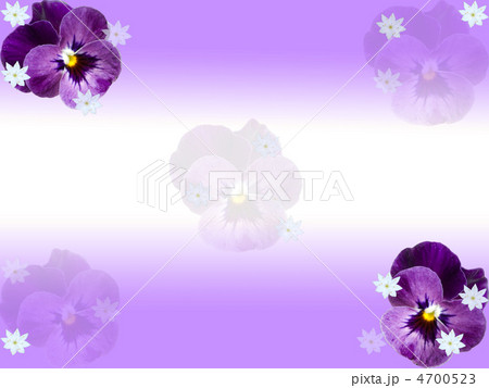 ビオラ スミレ 紫色 壁紙のイラスト素材