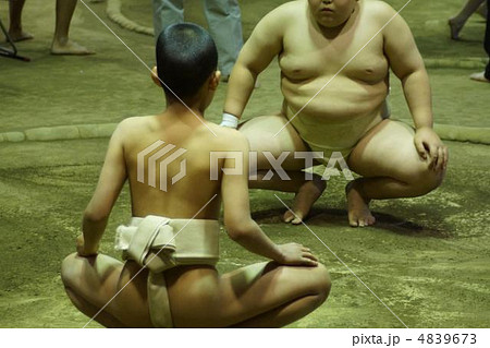 ちびっ子相撲 相撲大会 まわし おしりの写真素材 - PIXTA