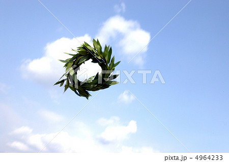 月桂樹 月桂冠 冠 初夏の写真素材
