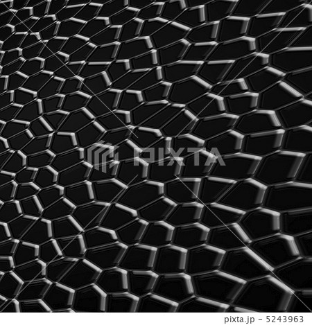 黒 鱗 ワニ ウロコのイラスト素材