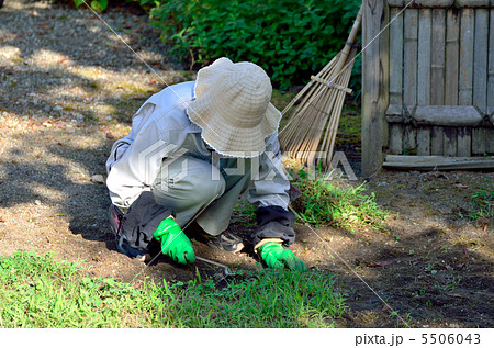 草取り 草むしり 人物 女性の写真素材 - PIXTA