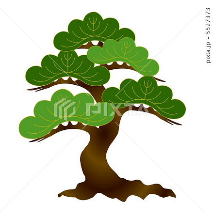 松の木 松 マツ 針葉樹のイラスト素材