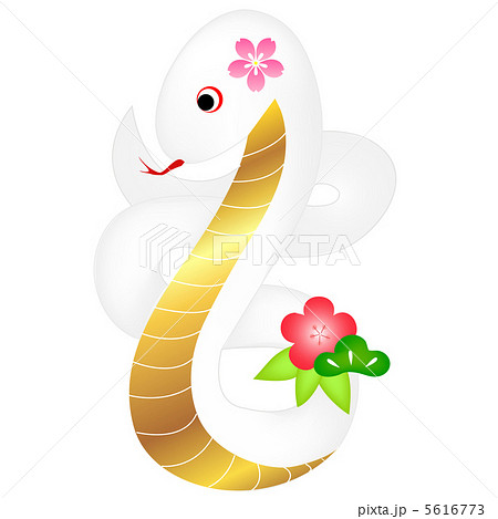 ヘビ 蛇 白蛇 かわいいのイラスト素材