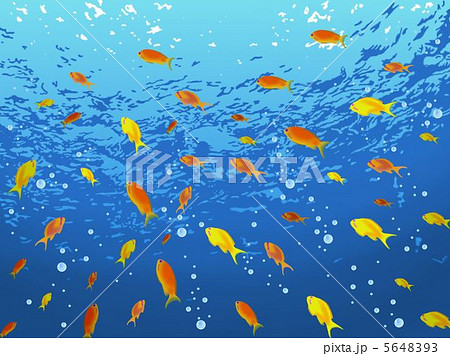 魚群 泡 綺麗 水中のイラスト素材