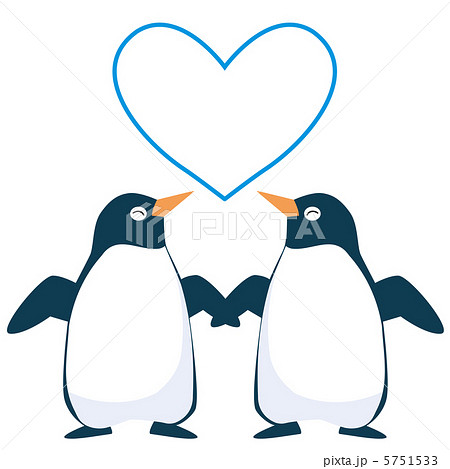 愛 カップル ペア ペンギンの写真素材