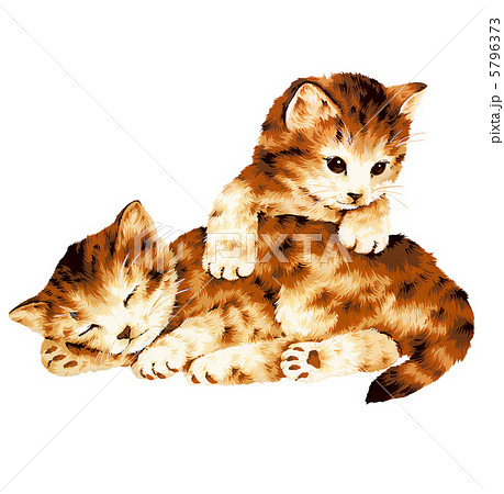 わがまま 猫 イラストのイラスト素材 - PIXTA
