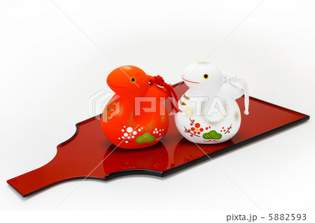 白蛇の脱け殻❤干支❤巳年❤超美品❣️しかも‼️妊婦さん❣️ 白蛇の脱け殻❤干支❤巳年❤超美品❣️しかも‼️妊婦さん❣️