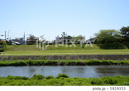 河原 土手の写真素材