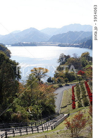 遊歩道 ドウダンツツジ 宮ヶ瀬ダム 紅葉の写真素材