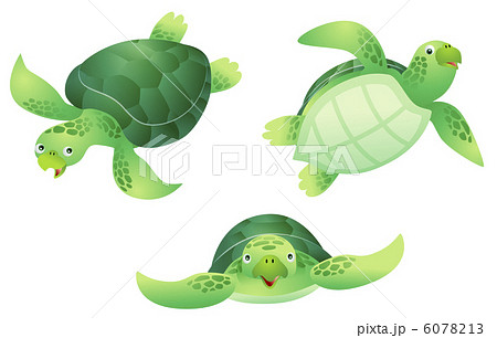 Sea Turtle Turtle Illustrations