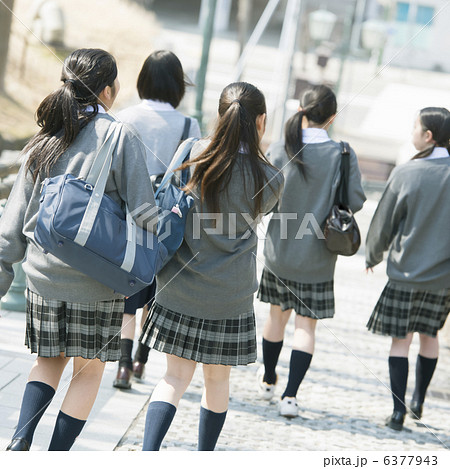 学生 後ろ姿 中学生 人物 学生服 屋外 後姿 元気 制服の写真素材