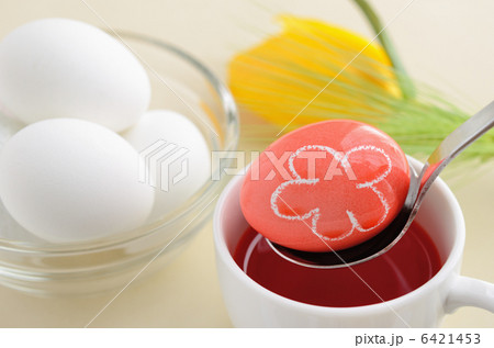 食紅 花 ゆで卵 卵の写真素材