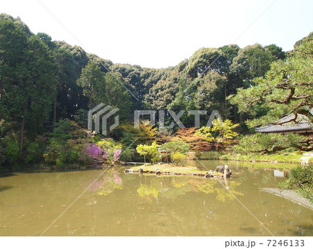 浄瑠璃寺庭園の写真素材