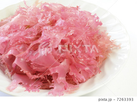 生 海藻 トサカ 赤トサカの写真素材