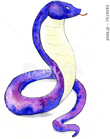 へび 蛇 ヘビ ハブのイラスト素材