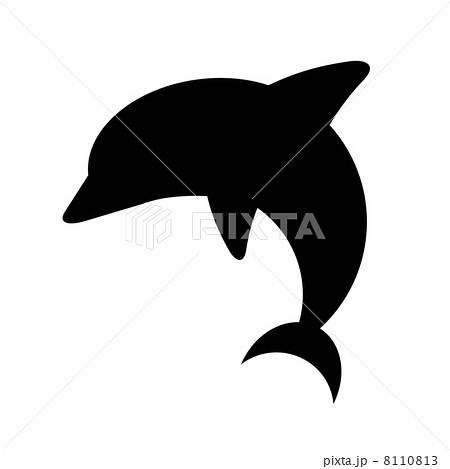 モノクロ 白黒 いるか イルカの写真素材