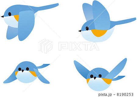 ルリビタキ 青い鳥 飛ぶ鳥 可愛いのイラスト素材
