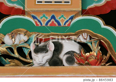 眠り猫 彫刻 東照宮 左甚五郎の写真素材