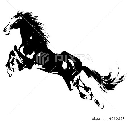 走る馬 和 うま 馬 水墨画の写真素材