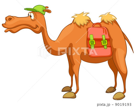 ヒトコブラクダ ラクダ 顔 茶色のイラスト素材