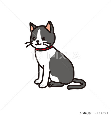 白黒ハチワレ猫のイラスト素材
