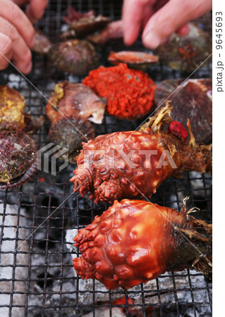 ホヤ 焼きホヤ ホヤ網焼き ホヤ焼きの写真素材