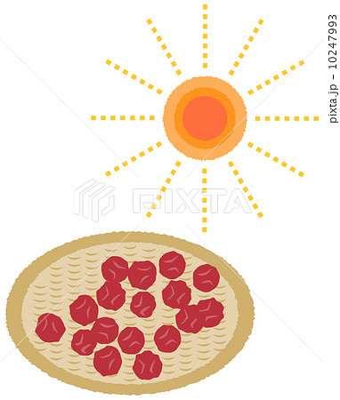 梅干し 干す ざる 食育のイラスト素材
