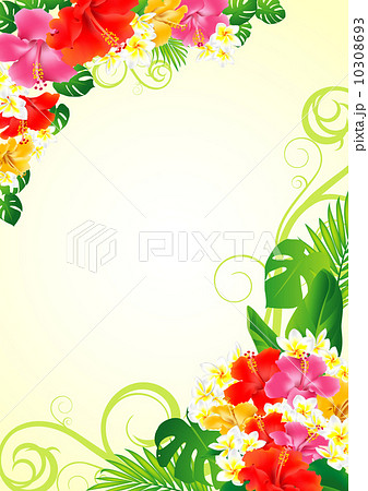 フラダンス 海 トロピカル ハワイ 花 装飾 常夏のイラスト素材