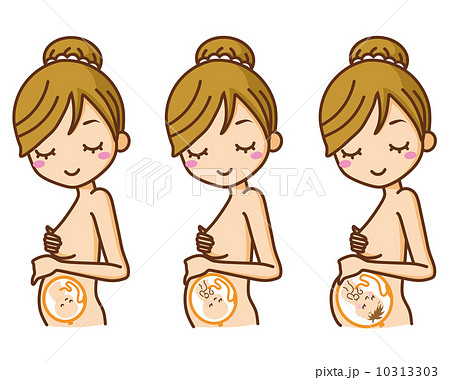 妊娠 経過 妊婦 ベクターのイラスト素材