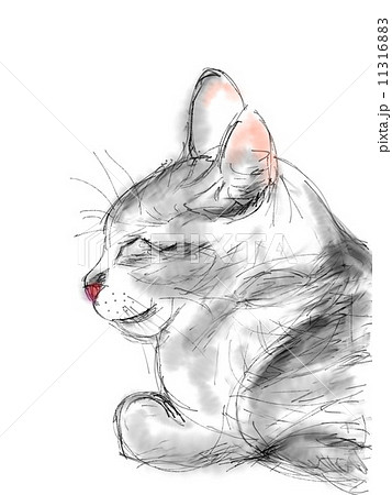 動物 猫 横顔 水彩のイラスト素材