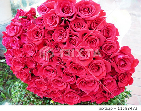 花束 女性への贈り物 還暦祝い 薔薇の花の写真素材