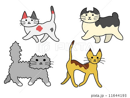 Fat Cat Illustrations