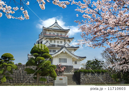 千葉城 桜 日本史 お花見の写真素材