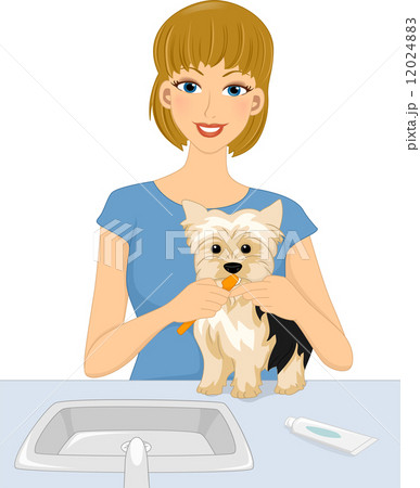 女性 ペット 犬 歯磨きのイラスト素材