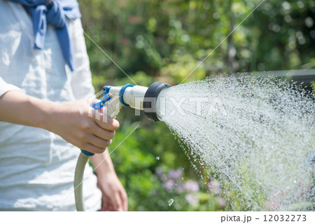 水まき 放水 女性 ホースの写真素材