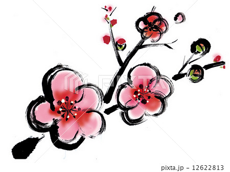 筆書き キレイ うめ 梅の花のイラスト素材