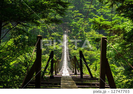 深南部 日本一怖い吊り橋 無想吊橋 無双吊橋の写真素材